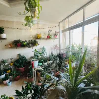 ۲۰۴متـر ۴پـارکـیـنـگ سـندی  معاوضه‌فروش رشــیــد|فروش آپارتمان|تهران, تهرانپارس غربی|دیوار