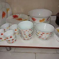 پلو و سرویس