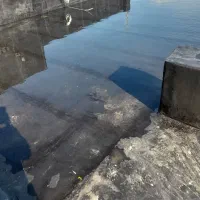 ایزوگام شرق کار لکه گیری آسفالت محوطه قیرگونی|خدمات پیشه و مهارت|مشهد, سید رضی|دیوار