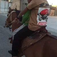 کره نریون 3 سال