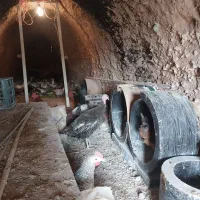 اردک اسرائیلی غاز خروس