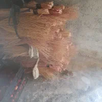 ۵۰ دست جارو برای تمیز کردن حیاط وغیره