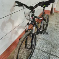 دوچرخه ویوا|دوچرخه، اسکیت، اسکوتر|شاهین‌شهر, خانه کارگر|دیوار