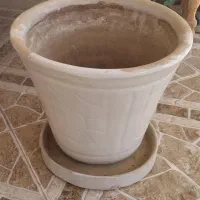 گلدون و پایه گلدون|گل و گیاه طبیعی|بندر ماهشهر, |دیوار