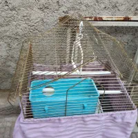 قفس پرنده