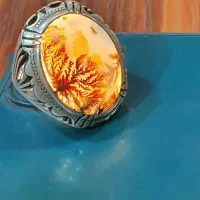 انگشتر نقره‌شجر خاص