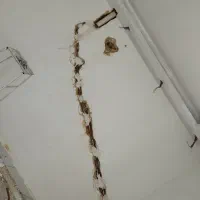 نقاشی رنگ کاری کچ کاری|خدمات پیشه و مهارت|اسدآباد, |دیوار