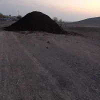 کود گوسفندی