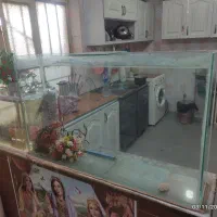 آکواریم و ماهی حراج متن بخون|ماهی|اهواز, دغاغله|دیوار