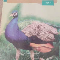 تدریس خصوصی عربی