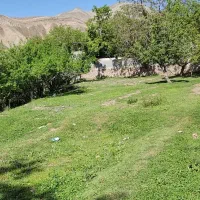 زمین در روستای امامه بالا|فروش زمین و ملک کلنگی|فشم, |دیوار