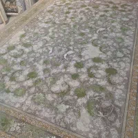 چهار تخته فرش ۱۲متری ۱۲۰۰شانه تراکم ۳۶۰۰|فرش|تهران, شهرک استقلال|دیوار