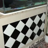 آکواریوم|ماهی|کاشمر, |دیوار