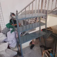 قفسه