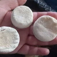 کشک بز درجه یک