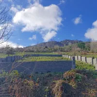 فروش زمین 700متری روستایی جنگلی تاپ لوکیشن