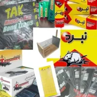 چسب  و تله موش .گربه در انواع مختلف