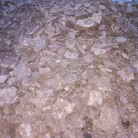 بشرط سالنی کود مرغی|حراج|رامشیر, |دیوار