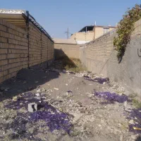 زمین ۱۵۰متری قلفتی واقع در کشمیری ۶۳|فروش زمین و ملک کلنگی|مشهد, شهید شهریاری|دیوار