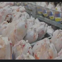 به دوکارگر چربی گیر و بیخص کارقطعه بند نیازمندیم