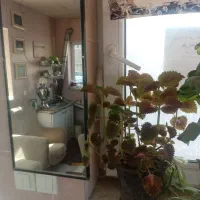 به تعدادی خودرو در تاکسی تلفنی پونک نیازمندیم