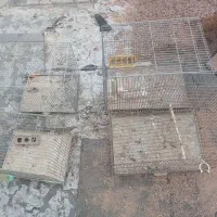 قفس پرنده|لوازم جانبی حیوانات|شیراز, غدیر شمالی|دیوار