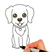 سگ پیدا شده (رنگ مشکی و لکه های سفید)