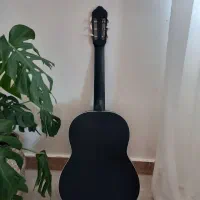 گیتار نو|گیتار، بیس، امپلیفایر|رشت, نیروی دریایی|دیوار