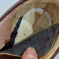 کفش چرم شیما سایز ۴۳|کیف، کفش، کمربند|پردیس, فاز ۸|دیوار