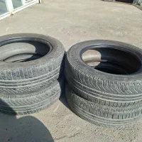 لاستیگ کلدیستون ۵۰ درصد