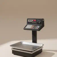 ترازو رادین 40 کیلویی