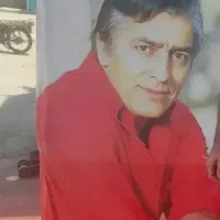 چرخ جگرکی و باقالی سالم