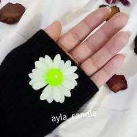 شمع وارمر بابونه