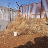 نیازمندنظافت