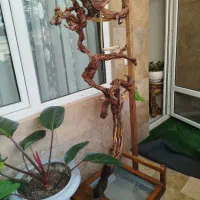 استند ، پارک بازی چوب بازی