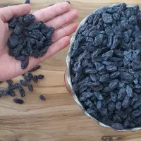 مویز شانی بدون هسته