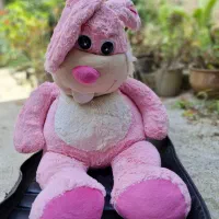 عروسک پولیشی