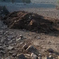 کود|خدمات باغبانی و درختکاری|جیرفت, |دیوار