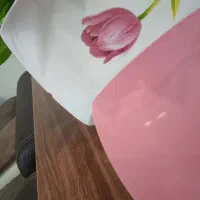 سرویس سرامیکی 600هزار4تا قابلمه روحی 700|ظروف سرو و پذیرایی|مشهد, میعاد (شهرک غرب)|دیوار