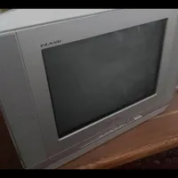 تلویزیون