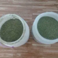 پدن(پونه) تازه تازه بسیارخوش عطر