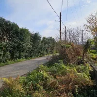 فروش زمین ۲۷۸ متر کاربری مسکونی بر جاده|فروش زمین و ملک کلنگی|چابکسر, |دیوار