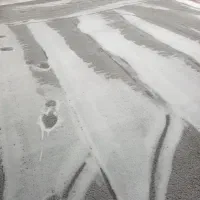 قالیشویی پاک (جنامی)|خدمات نظافت|شادگان, |دیوار