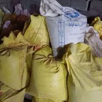کود پرنده(کبوتر)