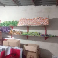 فروش طرف یکبار مصرف