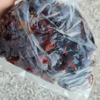 خرما کبکاب