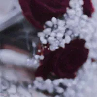 فیلمبرداری. عکاسی. کلیپ فرمالیته|خدمات پذیرایی، مراسم|گرگان, |دیوار