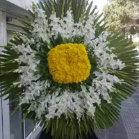 تاج گل ترحیم|گل و گیاه طبیعی|شیراز, خلدبرین|دیوار
