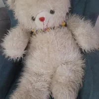خرس پولیشی