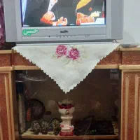 تلوزیون و دیجیتال